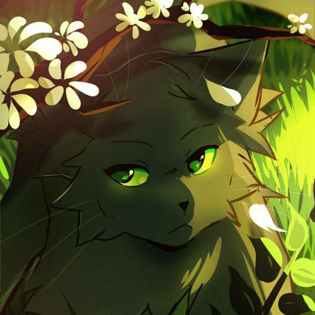 ?•Коты Воители | Warriors Cats•?
