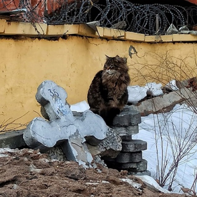 Копилка Анки