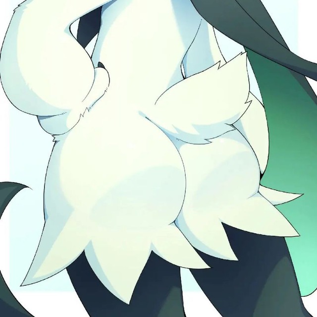 ??Content furry porn?❤️