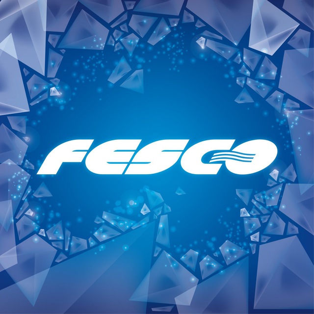 Транспортная группа FESCO