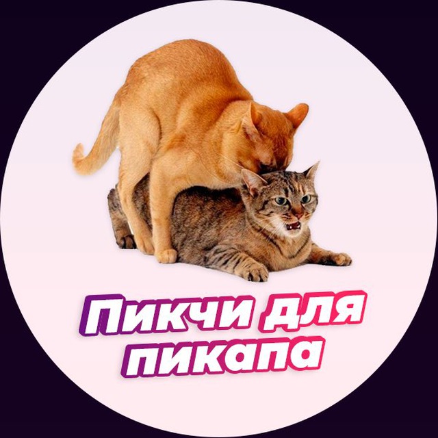 Пикчи для пикапа