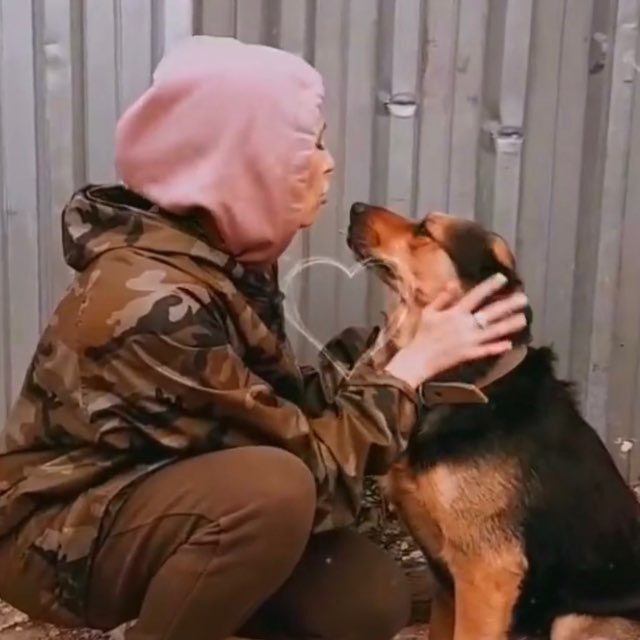 ANIMAL CARE: помощь бездомным животным ??