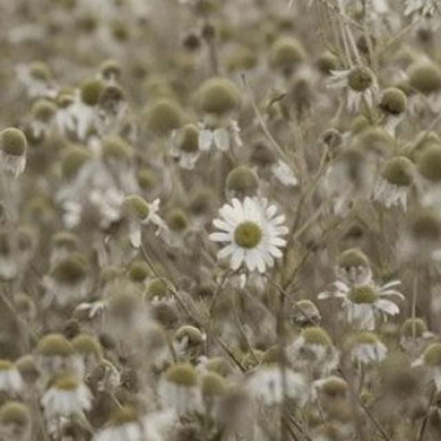 Заметки Computer Vision инженера