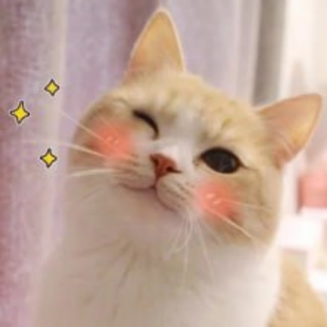 Яна ест, Яна пьёт, Яна Кот