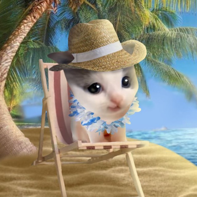 Зимний Вилли