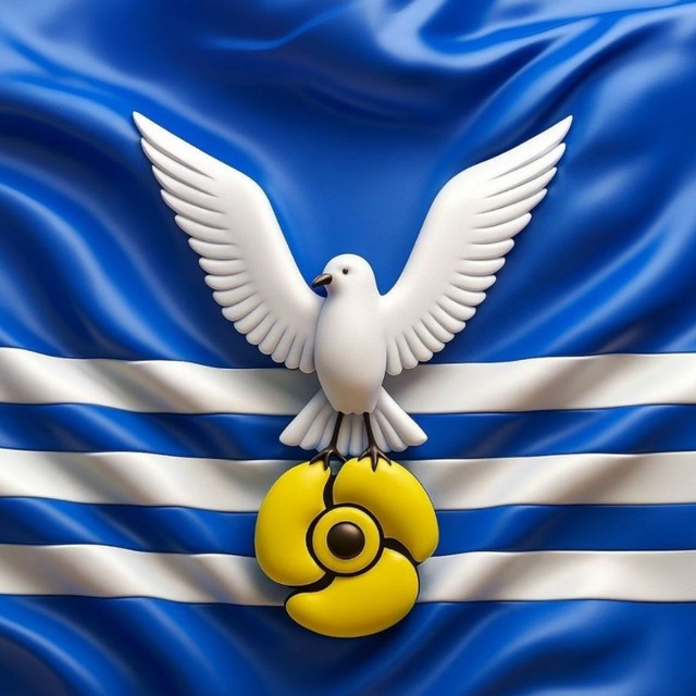 Дума городского округа Большой Камень