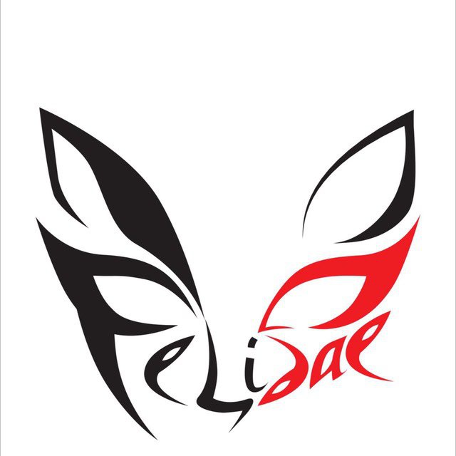 Felidae. Hard art-rock