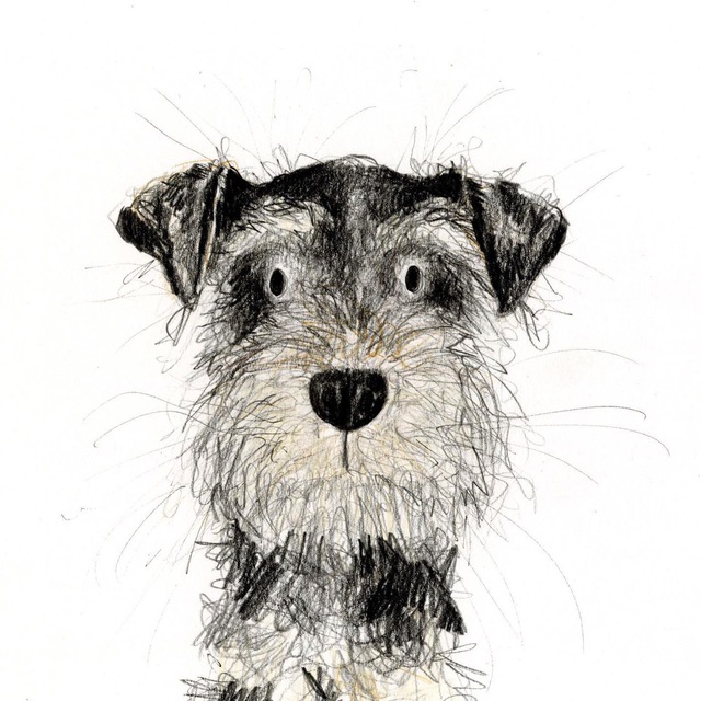 Собачка дня