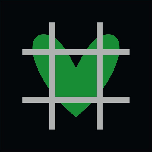 Веган-передачки