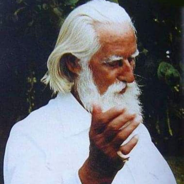 Учение Айванхова & Донова