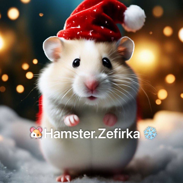 ❄️???????.????????