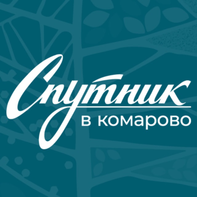 Реабилитация. Спутник в Комарово