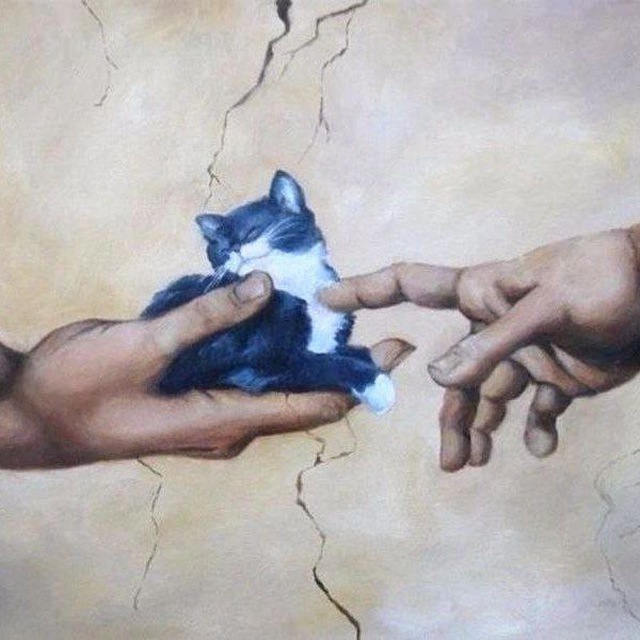 Психоруженосец