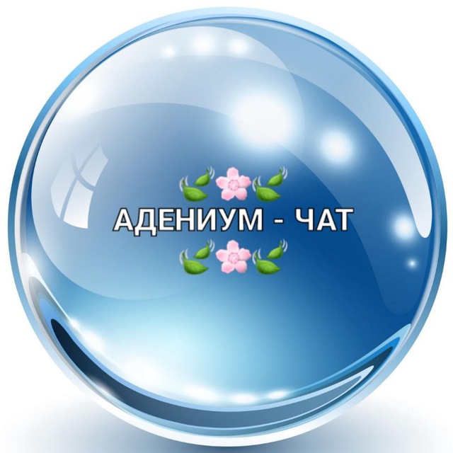 ?Адениум-чат?