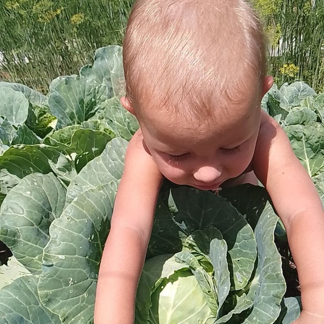 Жизнь в деревне Черусти.