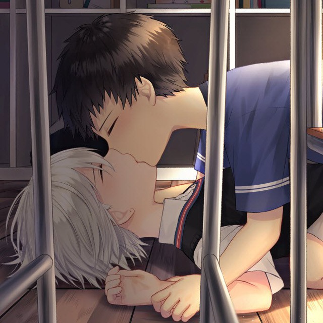 сетакон фото PiBig.info