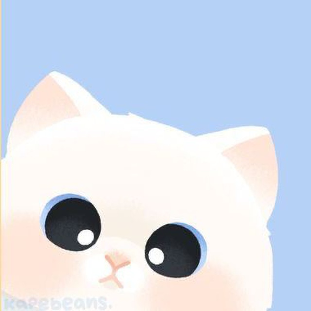 Котист