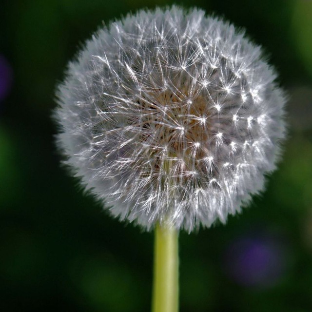 Москва онлайн