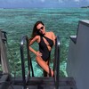 SPORTS|LIVE|TRAVEL