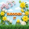 SUDOCHEK IT (и не только)