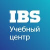 Учебный центр IBS: бесплатные вебинары, курсы