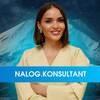 Налог.Консультант / nalog.konsultant