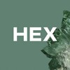 #HEX • IT
