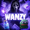 Wanzy