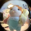 sylvanian memes