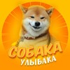 Собака-улыбака