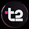 T2